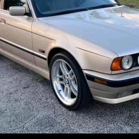 E34. 95 Bakawoŷ