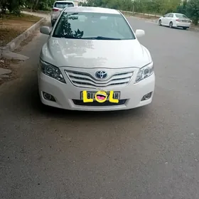 Toyota Camry 2010