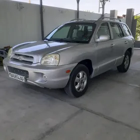 Hyundai Santa Fe 2005