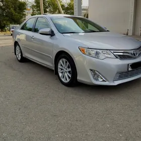 Toyota Camry 2013