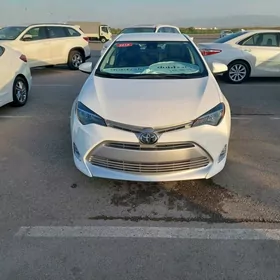 Toyota Corolla 2019