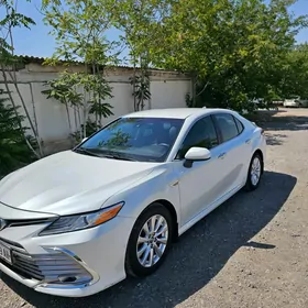 Toyota Camry 2019