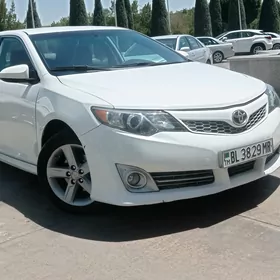 Toyota Camry 2013