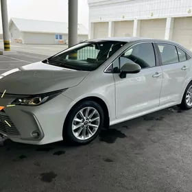 Toyota Corolla 2019