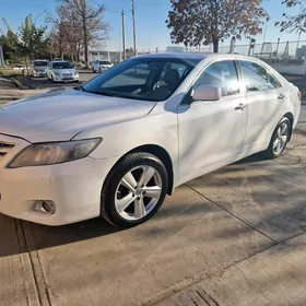 Toyota Camry 2010