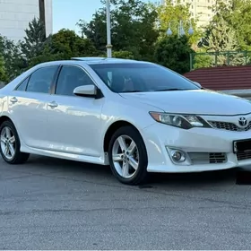 Toyota Camry 2013