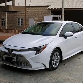 Toyota Corolla 2021