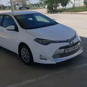 Toyota Corolla 2018