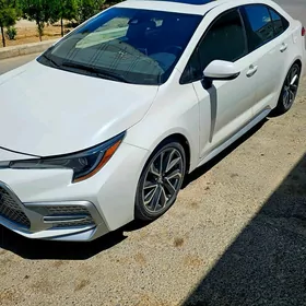 Toyota Corolla 2020