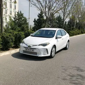 Toyota Corolla 2016