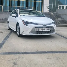 Toyota Corolla 2019