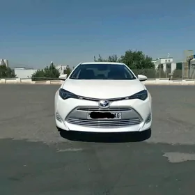 Toyota Corolla 2019