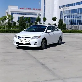 Toyota Corolla 2013