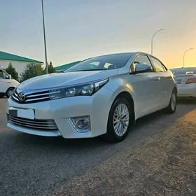 Toyota Corolla 2014