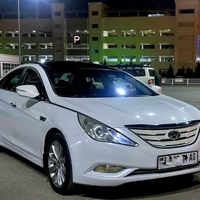 Hyundai Sonata 2011