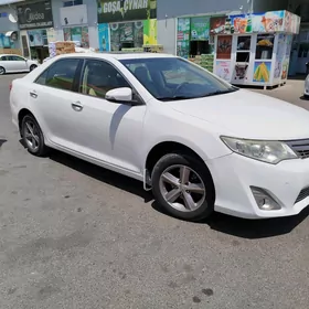 Toyota Camry 2013