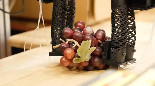 В MIT создали аккуратного робота для бережной работы с продуктами