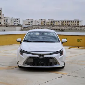 Toyota Corolla 2019