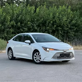 Toyota Corolla 2020