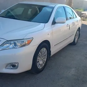 Toyota Camry 2010