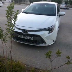 Toyota Corolla 2019