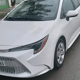 Toyota Corolla 2021