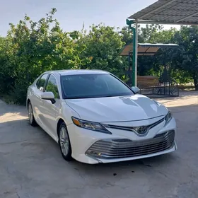 Toyota Camry 2019