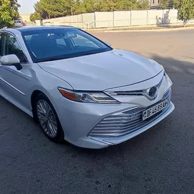 Toyota Camry 2020