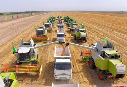 Хлеборобы Туркменистана собрали свыше 1 миллиона 200 тысяч тонн зерна