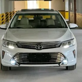 Camry AurionYz Keçe Podkrylnyk