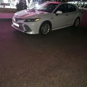 Toyota Camry 2019