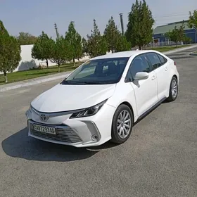 Toyota Corolla 2020