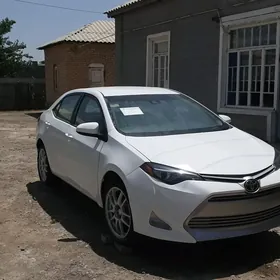 Toyota Corolla 2017