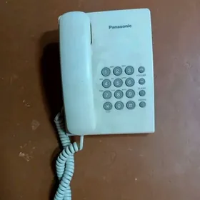 domashnyy telefon
