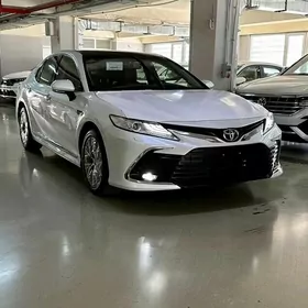 18-23 Camry Bryzgawyk European