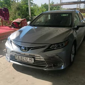 Toyota Camry 2020