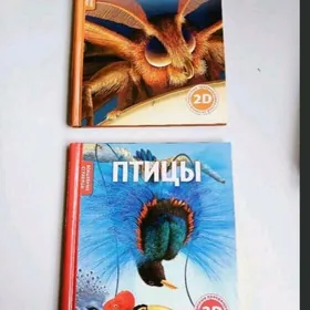 Книги 2 D