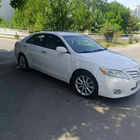 Toyota Camry 2010