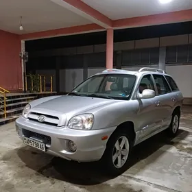 Hyundai Santa Fe 2004