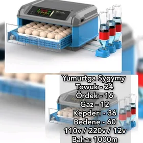  Kiçi INKUBATOR ИНКУБАТОР