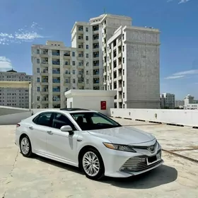 Toyota Camry 2019