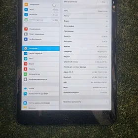 iPAD mini