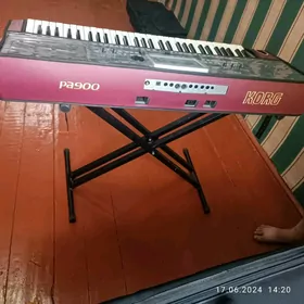 Korg pa900