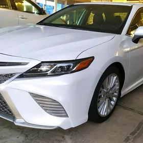 Toyota Camry 2019