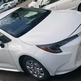 Toyota Corona 2020