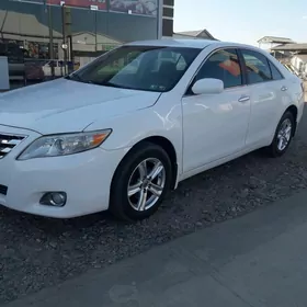 Toyota Camry 2010