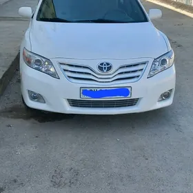 Toyota Camry 2010