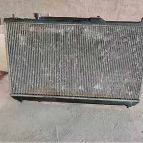 radiator babychka