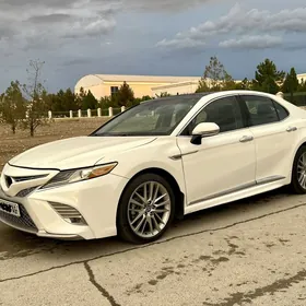 Toyota Camry 2020