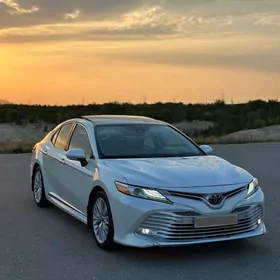 Toyota Camry 2019